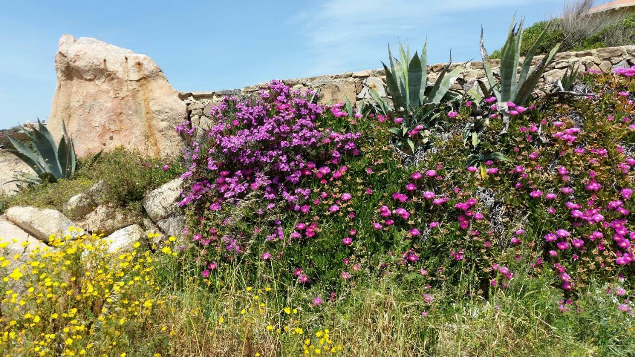 Casa Vacanze Della Maddalena Villa La Maddalena  Exterior foto